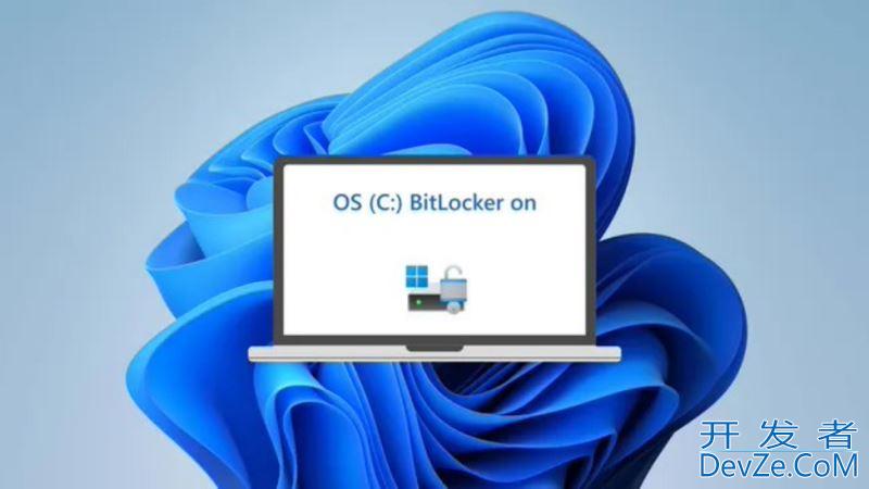 Win11开启BitLocker软件加密会使SSD降速 20~45%(附解决方法)