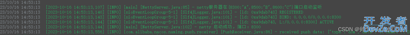 SpringBoot 整合 Netty 多端口监听的操作方法