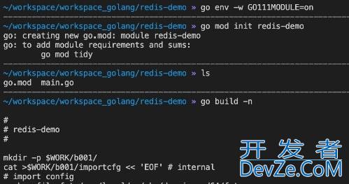 执行go build报错go: go.mod file not found in current directory or any parent directory