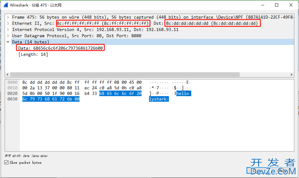 C/C++ 运用Npcap发送UDP数据包的完美过程