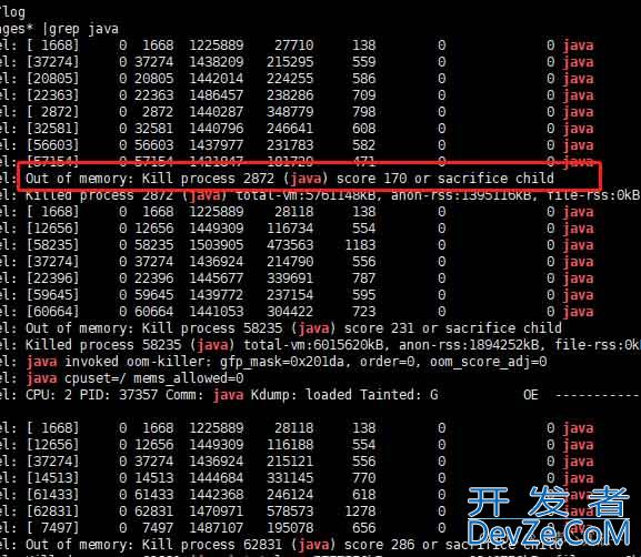 java服务自动停止原因查找方式