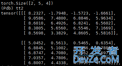 pytorch 中的dim的作用范围详解