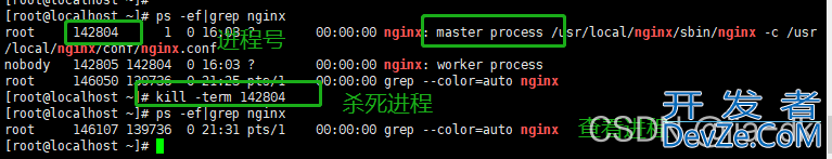 详解Linux中nginx如何重启、启动与停止