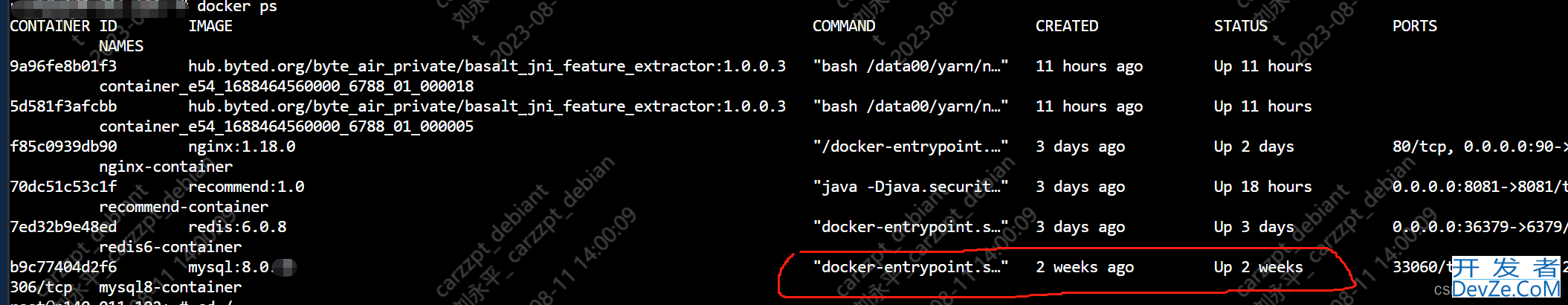 Docker DockerFile部署java jar项目包及Mysql和Redis的详细过程