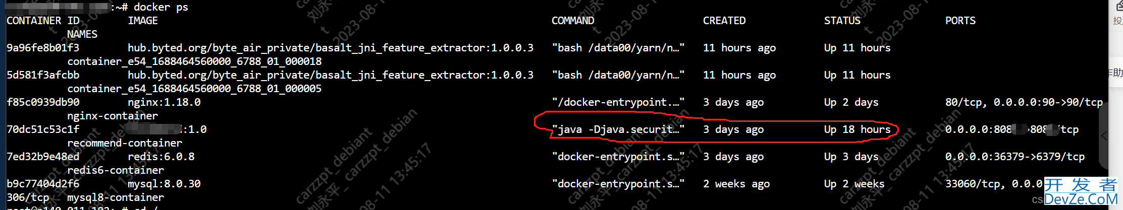 Docker DockerFile部署java jar项目包及Mysql和Redis的详细过程