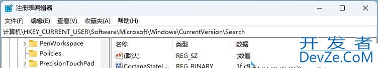 Win11如何彻底关闭搜索功能? Win11关闭网络搜索的方法