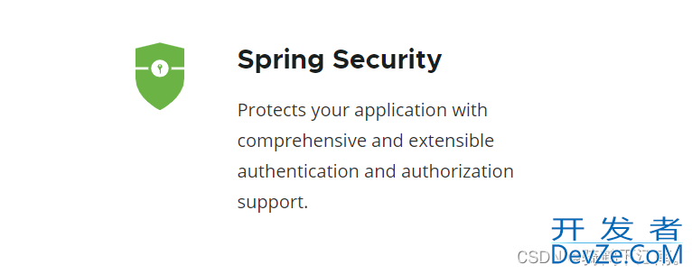 SpringSecurity入门使用教程