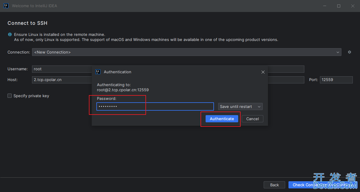 在IntelliJ IDEA中配置SSH服务器开发环境并实现固定地址远程连接的操作方法