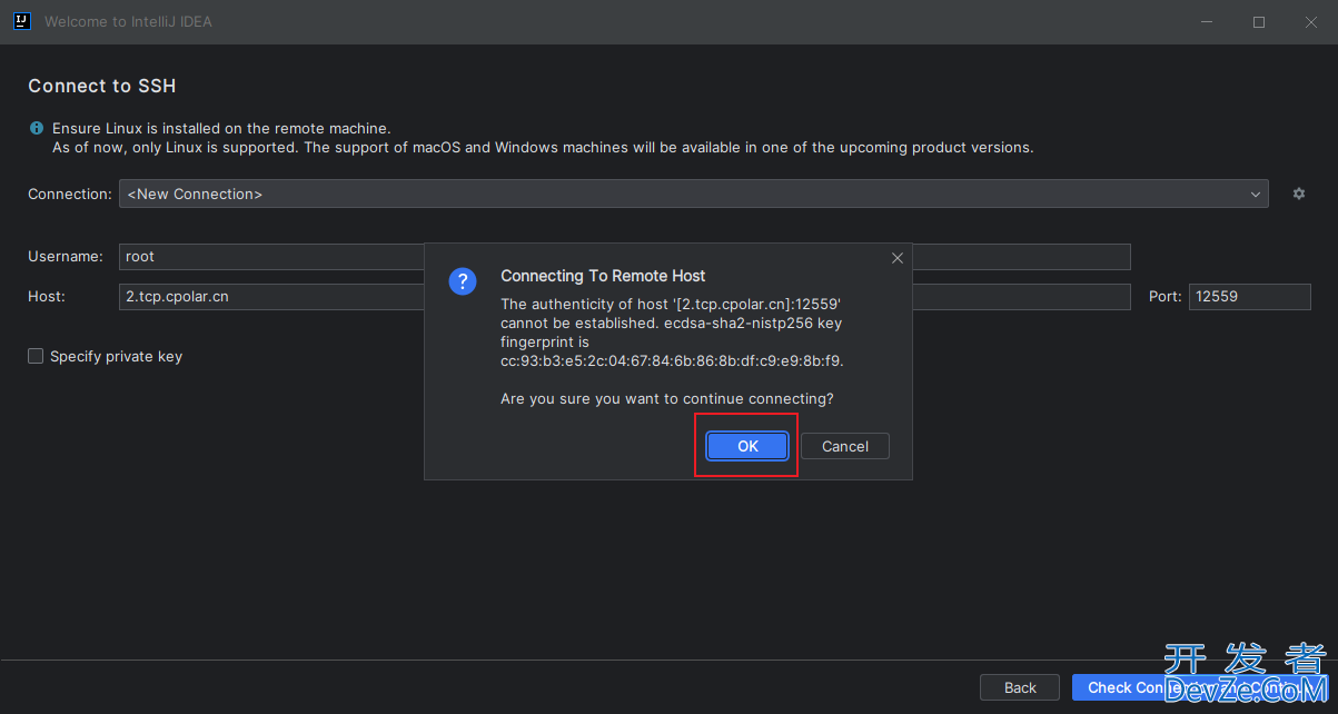 在IntelliJ IDEA中配置SSH服务器开发环境并实现固定地址远程连接的操作方法