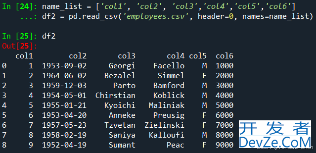 Python利用pandas处理CSV文件的用法示例