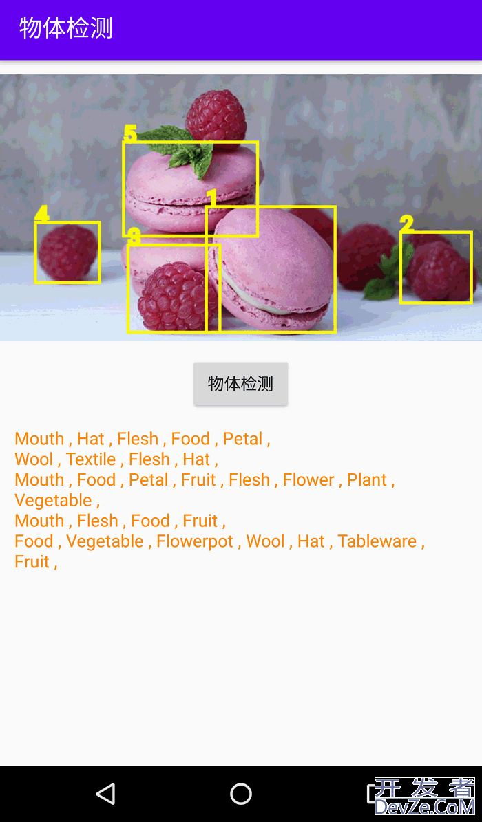 基于Google ML模型开发Android物体检测应用