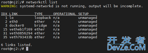 使用networkctl查询Linux中网络链接状态的方法