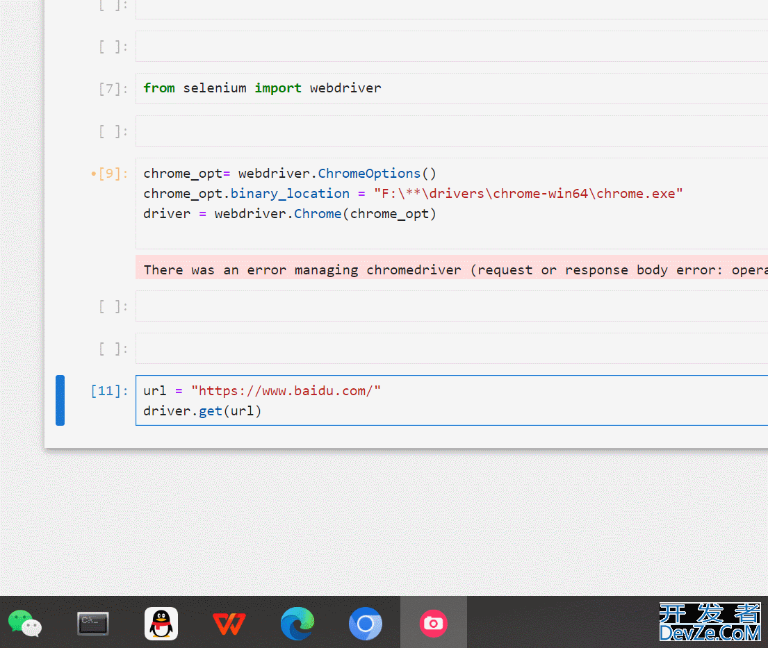 Python Selenium无法打开Chrome浏览器处理自定义浏览器路径的问题及解决方法