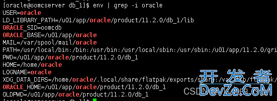 一文解决ORA-01034: ORACLE not available报错