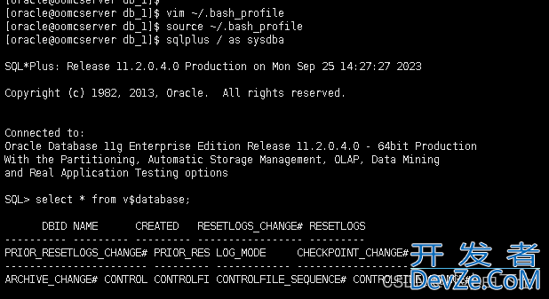 一文解决ORA-01034: ORACLE not available报错