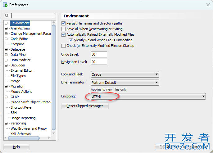 Oracle SQL Developer脚本输出中文显示乱码的解决方法