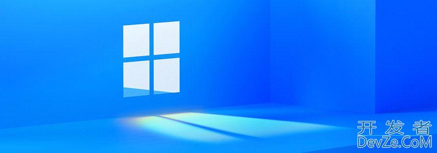 windows11选择哪个版本? Win11家庭版与专业版深度对比