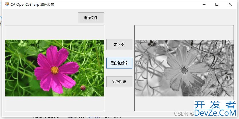 C# OpenCvSharp 颜色反转实例详解