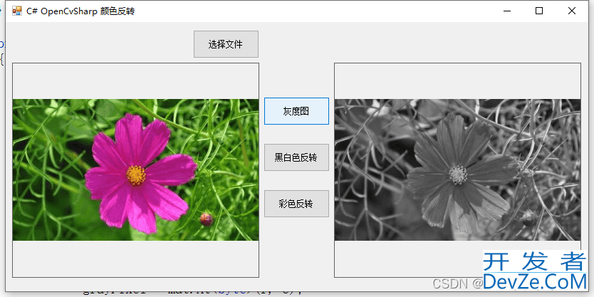 C# OpenCvSharp 颜色反转实例详解