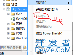 SQL Server 数据库每天自动备份作业操作图文详解