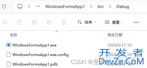 使用C#快速搭建一个在windows运行的exe应用