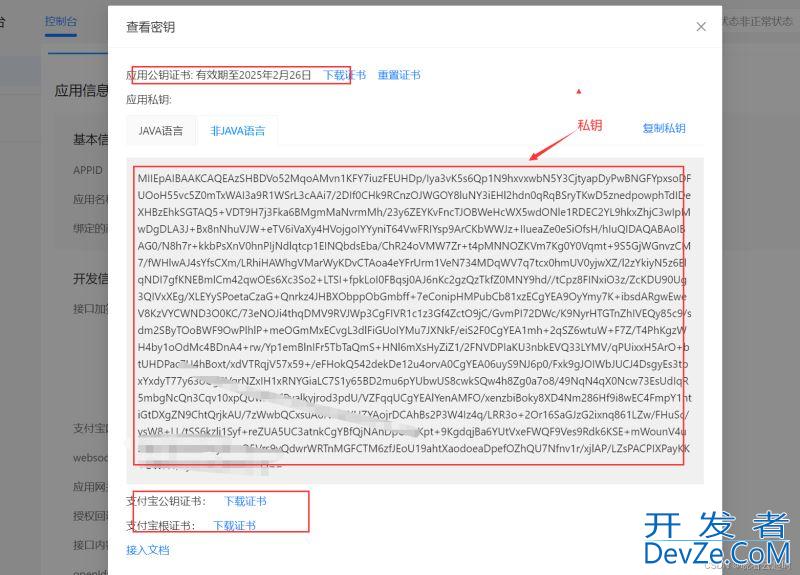 go使用支付宝沙箱实现支付宝支付的操作步骤