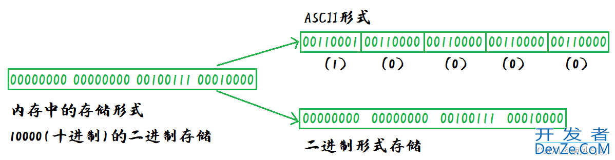 C语言文件操作入门指南