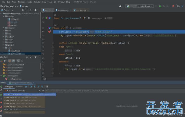 Goland使用delve进行远程调试的详细教程