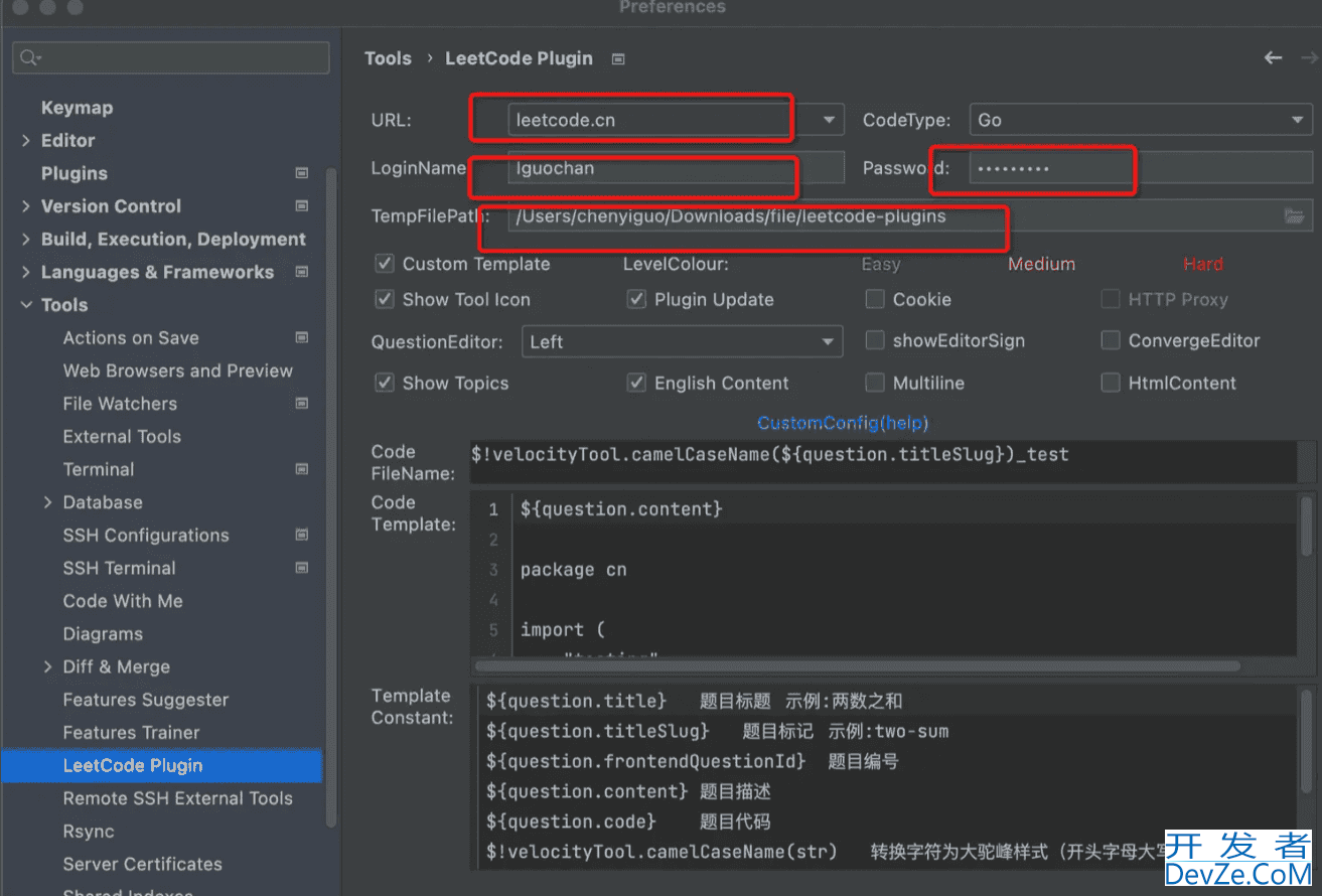 Goland配置leetcode的实现示例