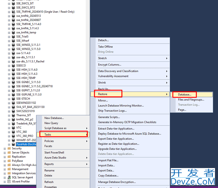 SQL Server数据库的备份和还原保姆级教程