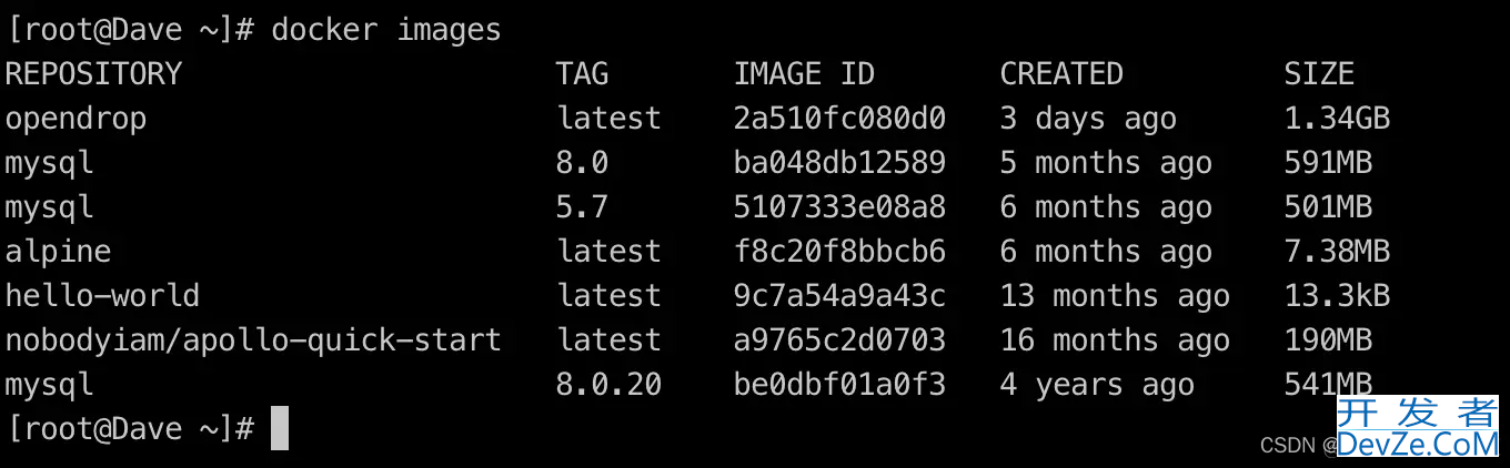 python项目以docker形式打包部署详细流程