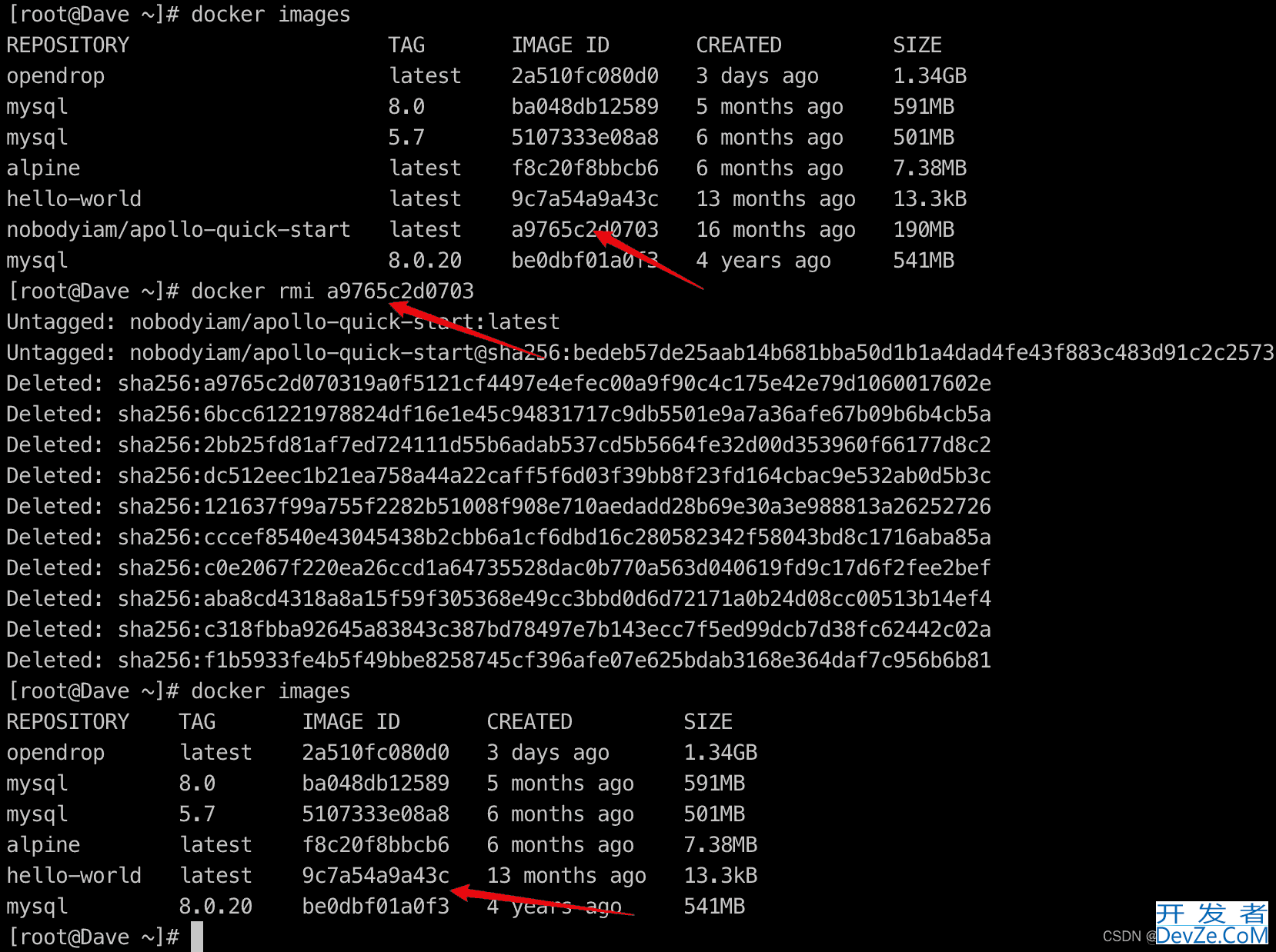 python项目以docker形式打包部署详细流程