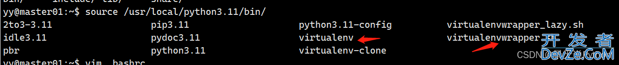 Python虚拟环境virtualenv安装的详细教程保姆级(Windows和linux)