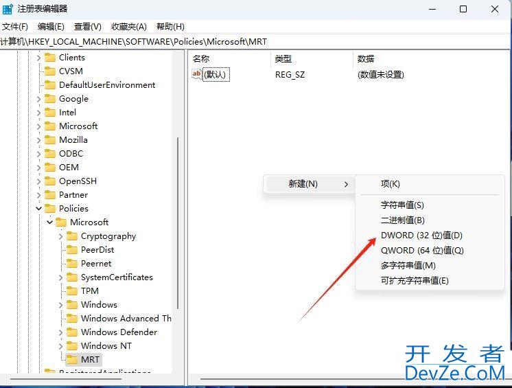 Win11怎么清除恶意软件? win11注册表清理软件的技巧