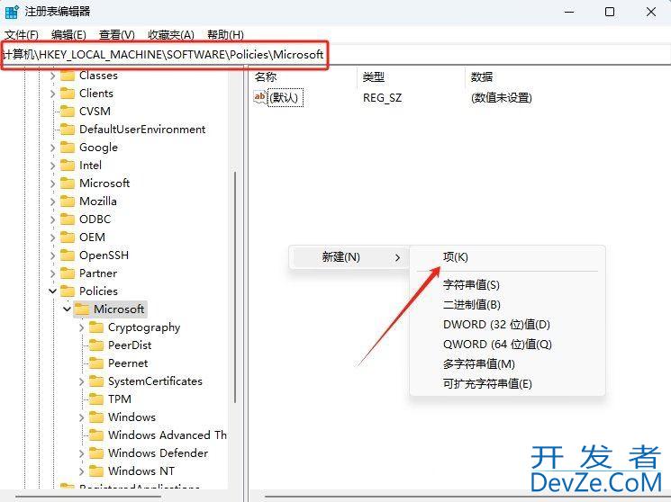 Win11怎么清除恶意软件? win11注册表清理软件的技巧