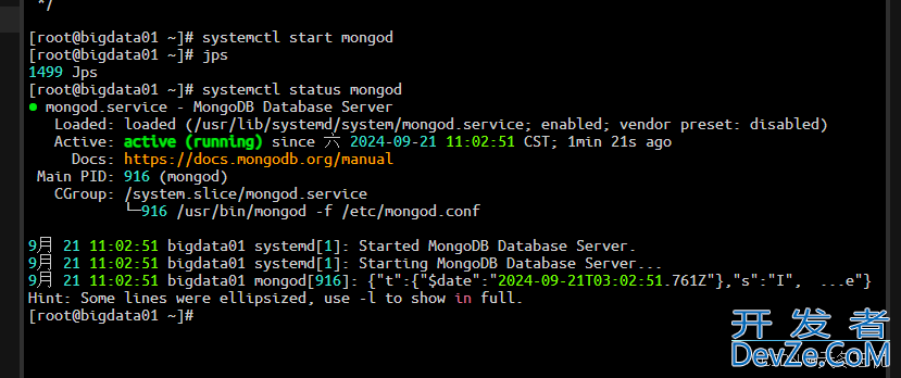 MongoDB在Linux系统中的安装与配置指南