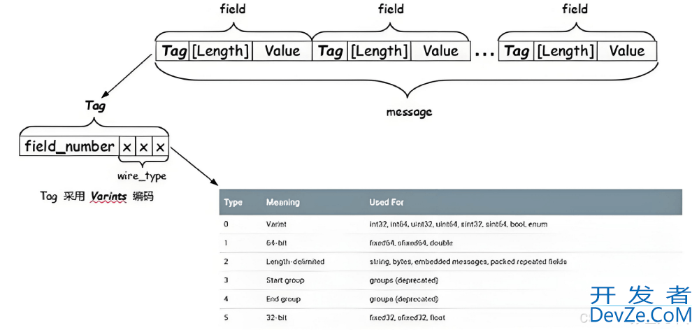 深入理解Golang中的Protocol Buffers及其应用