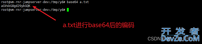 Linux下如何用base64命令加解密字符串