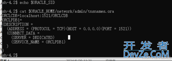 oracle导入线上数据的详细指南