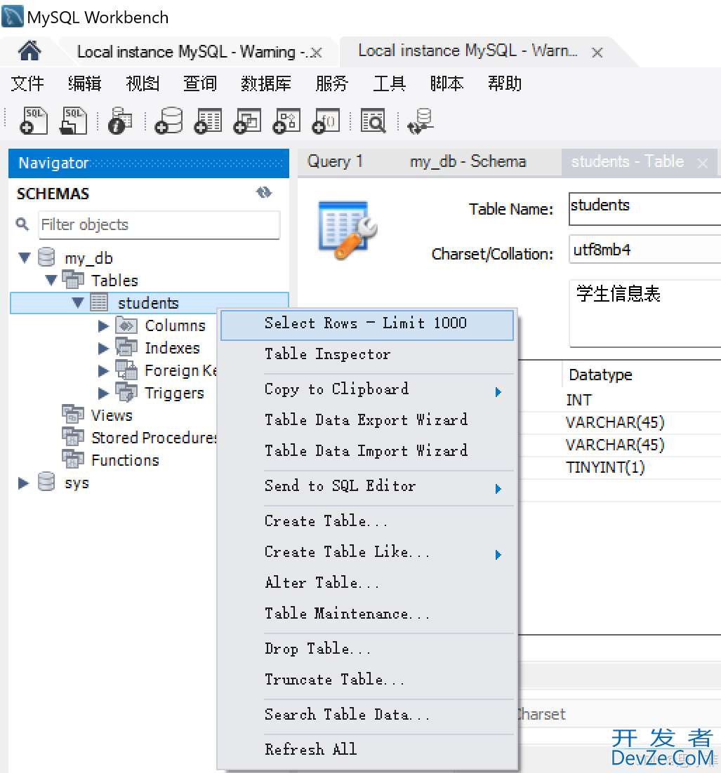 MySQL Workbench基本使用示例详解